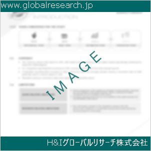 グローバルリサーチ調査資料のイメージ